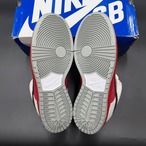 SB DUNK LOW ROLLER DERBY 313170-601