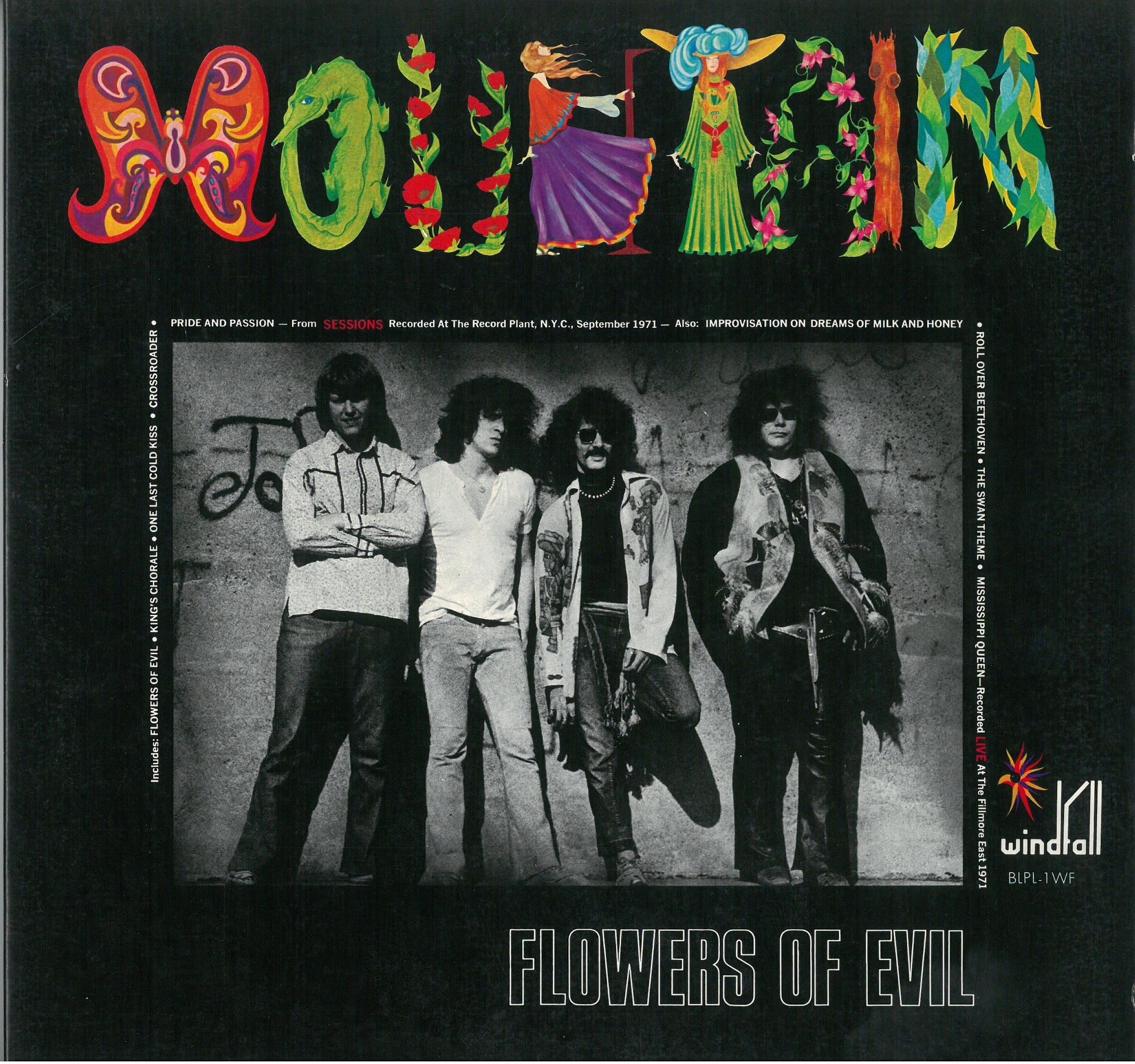 MOUNTAIN / FLOWERS OF EVIL (LP) 日本盤 | 弦曲堂 Americana music