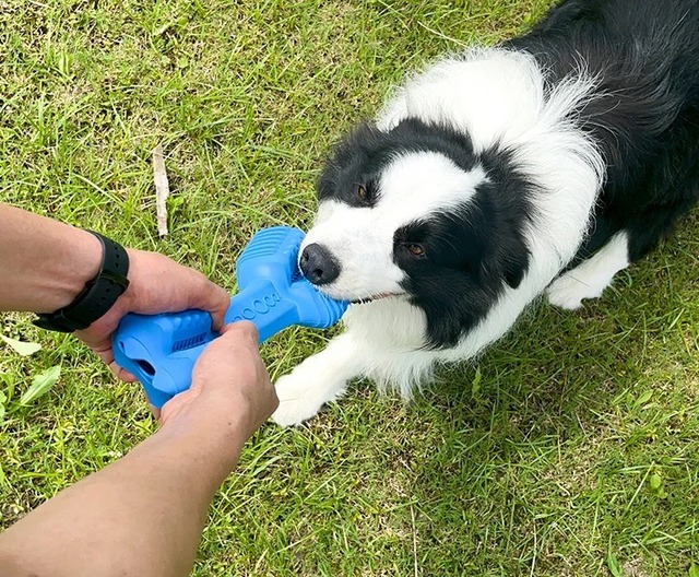 犬 おもちゃ 噛む 歯磨き 知育玩具 大型犬 中型犬
