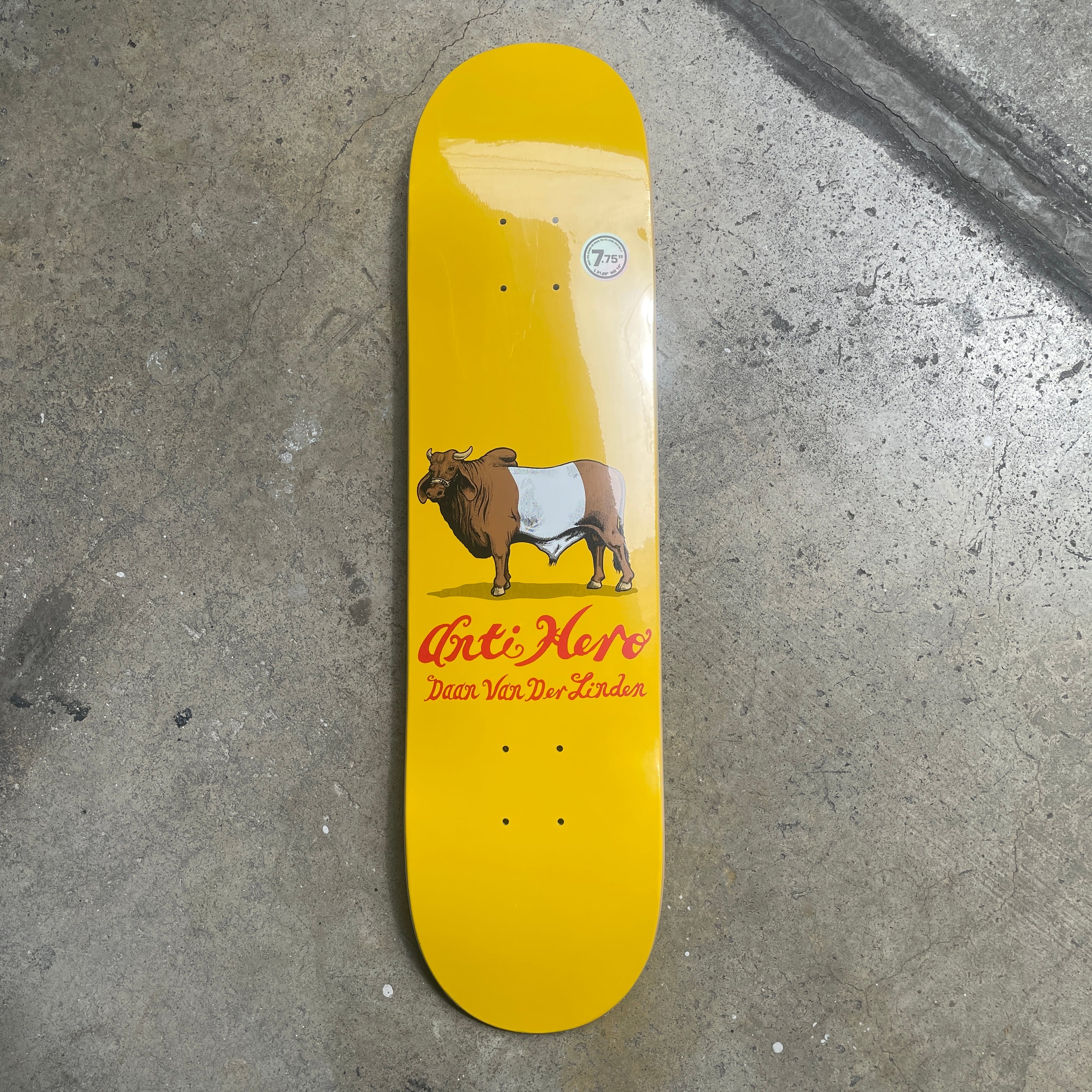 ANTIHERO PRO BOARD / DAAN DUTCH BELTED / 7.75 x 31.25 inch ( 19.68