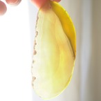 Mimosa 03 - アゲートヒーリングチャイム / Agate Sun Catcher Wind Chime 505