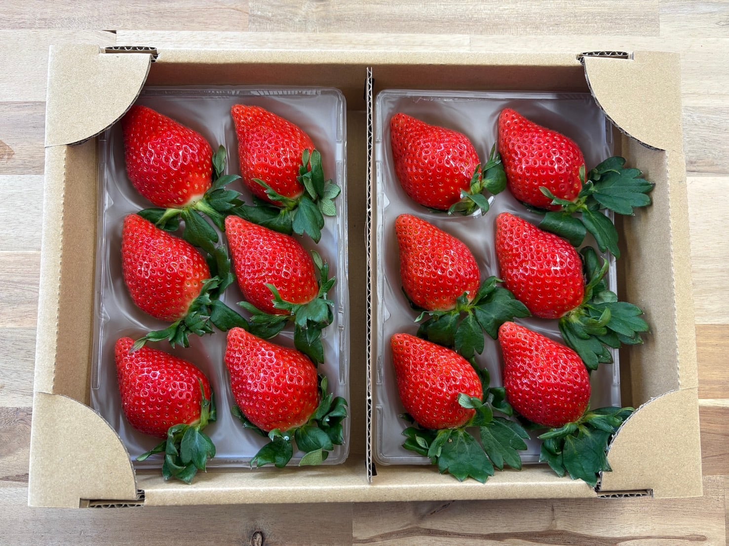 COCO BERRY FARM