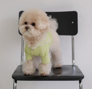 L/即納【SSFW】マカロンカーディガン《Mint》