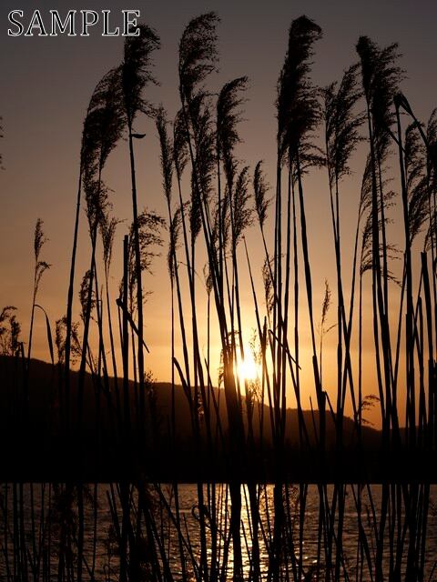 瀬田川河口の夕景　JPEG (5)