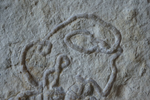 フィッシュ・コプロライト　Coprolite 1008