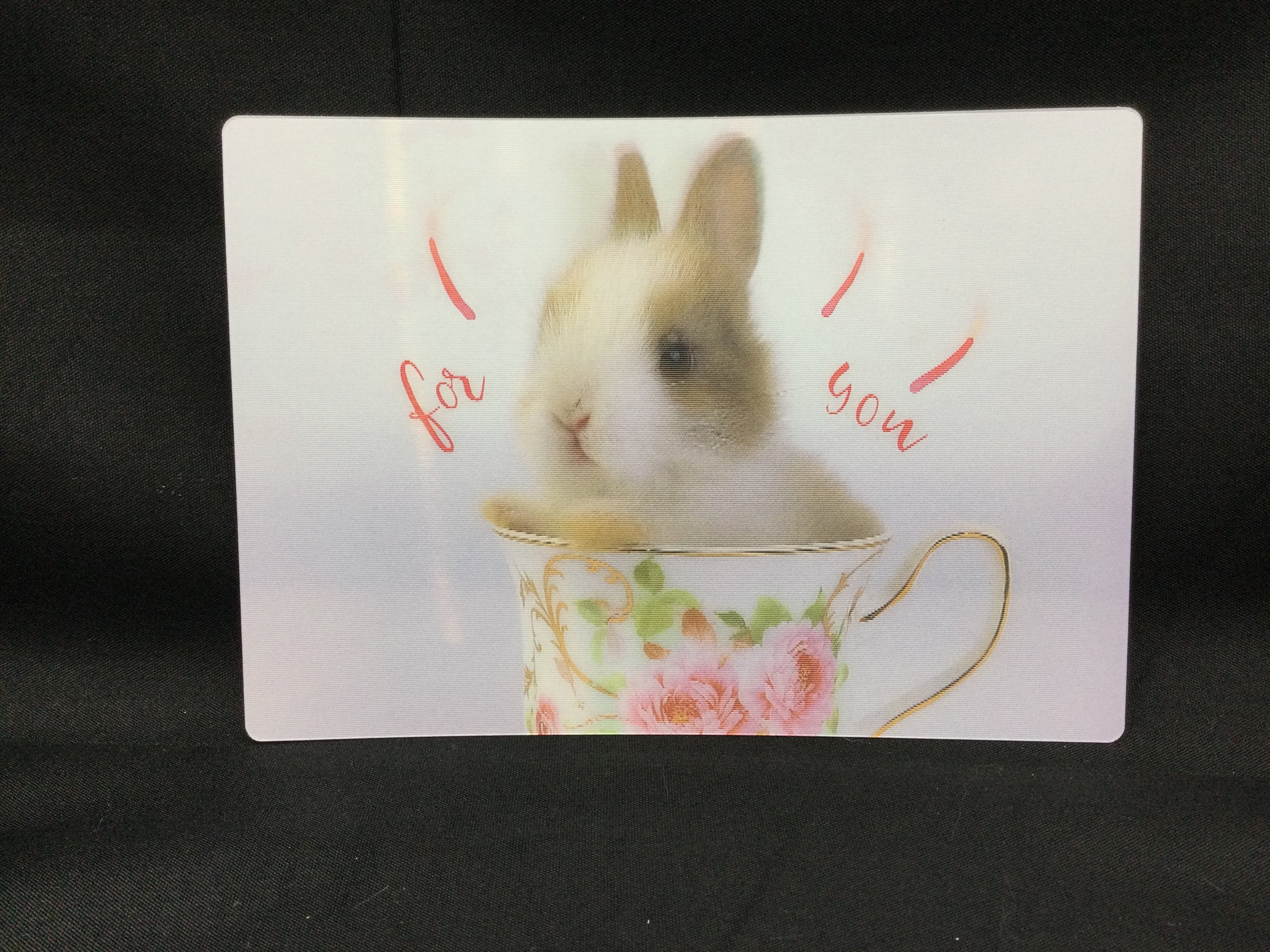 動く絵ハガキ ガプラス うさぎ | うさぎセレクトショップ森音