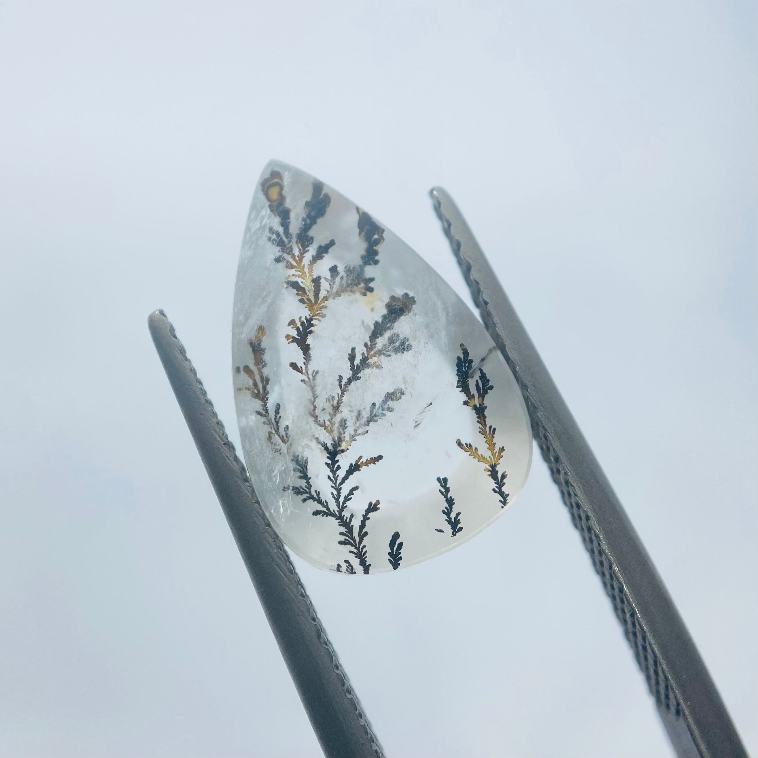 インスタライブでご紹介　デンドリティッククオーツ