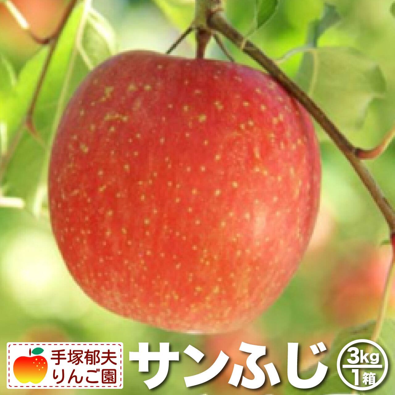 手塚郁夫りんご園｜産直通販「あるよ」応援プロジェクト