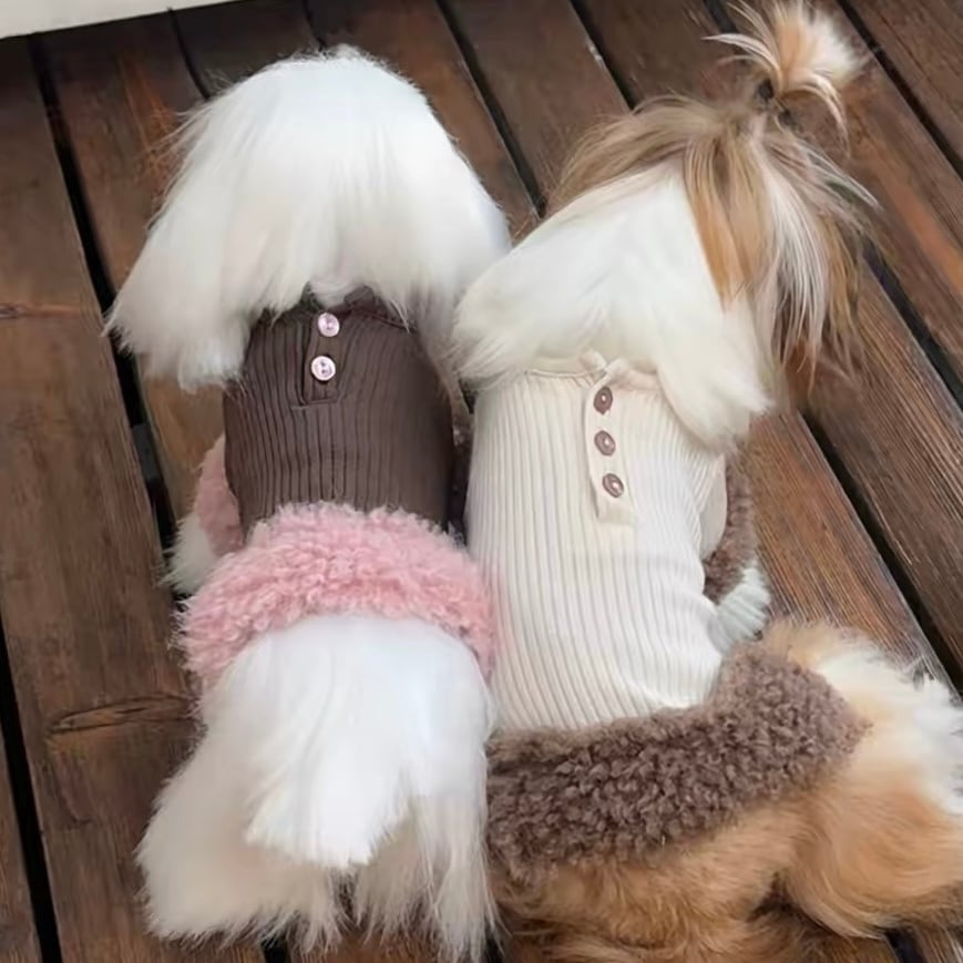 2026AWCollection | haenim dog shop