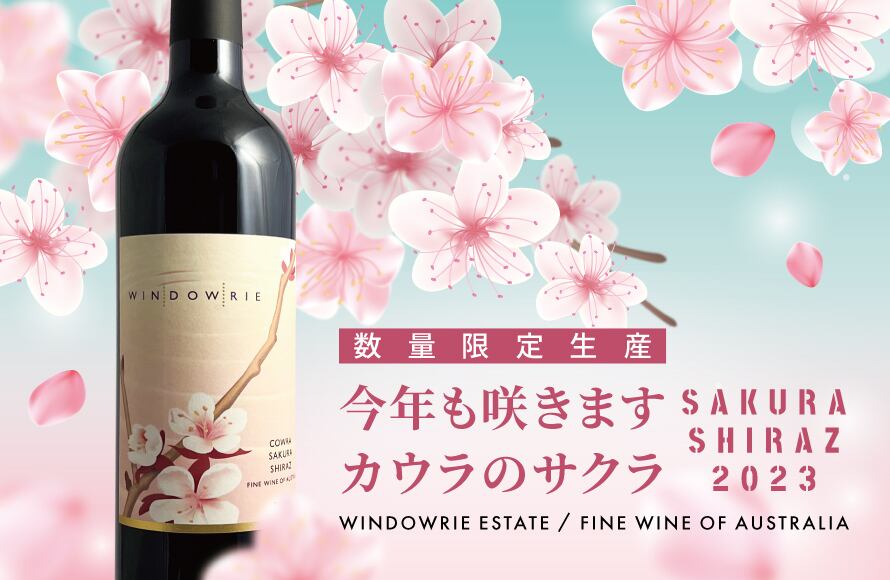 ウインダウリ・エステート・サクラ・シラーズ 2023 | Wine Shop May Shiraz