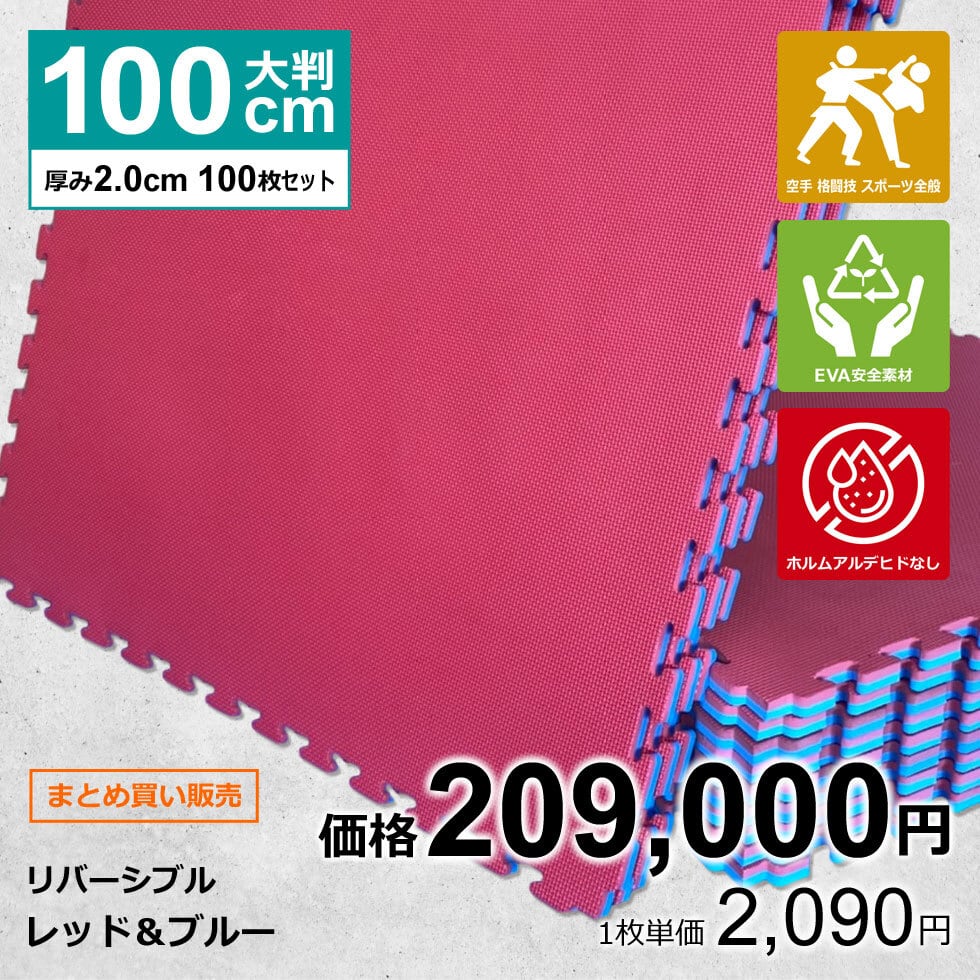 300枚】ジョイントマット大判 Ver.3.1