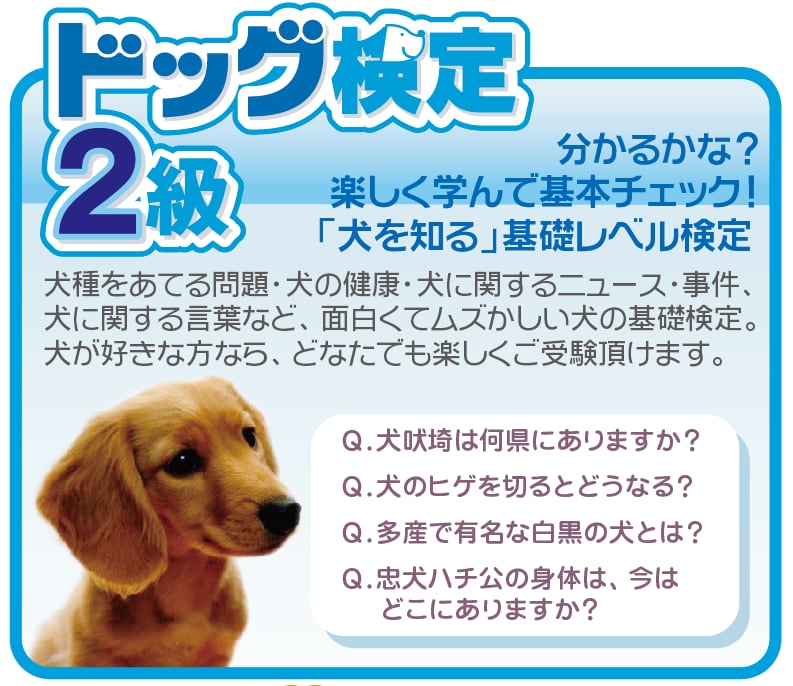 ≪SALE&送料無料≫ ドッグトレーニング 犬猫ストレスケア 犬猫