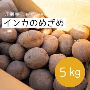 【ひと味違う甘み！】越冬じゃがいもインカのめざめ5㎏