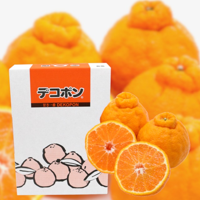 デコポン 3kg 贈答用 L　【２０４】