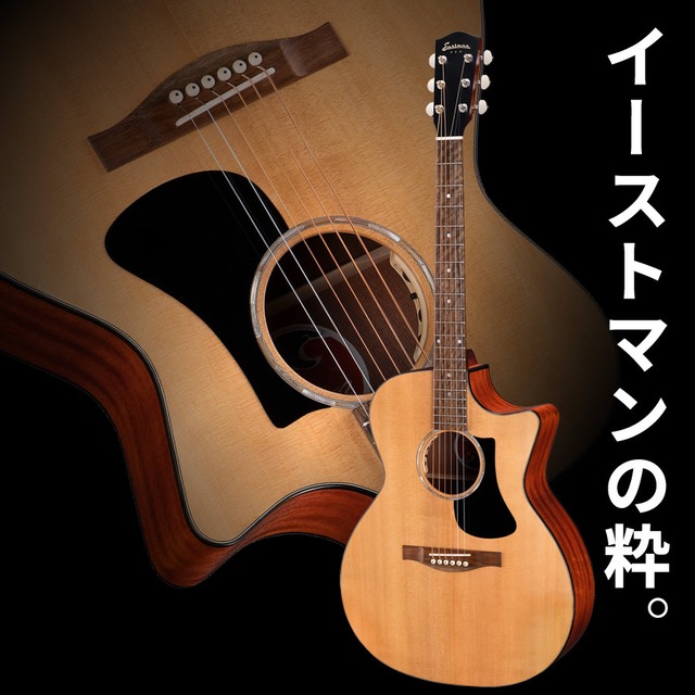 Eastman PCH1-GACE (Thermo-Cure Natural)