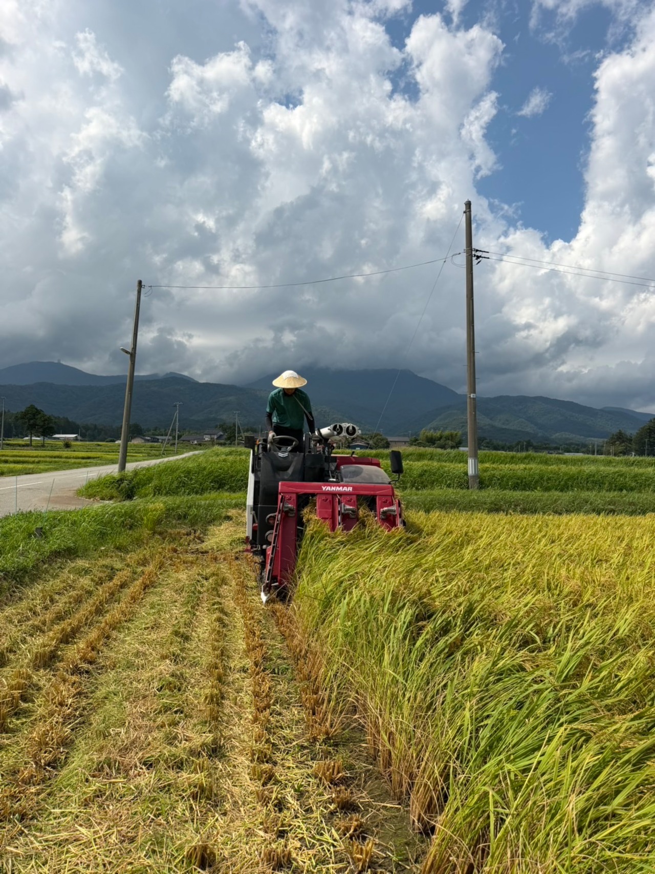 【予約販売R9.1月中旬発送】令和8年佐渡産コシヒカリ　10㎏・画像7