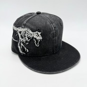 【キッズ】NEW ERA 9FIFTY/950 CLD DINSR SKELET CHILD