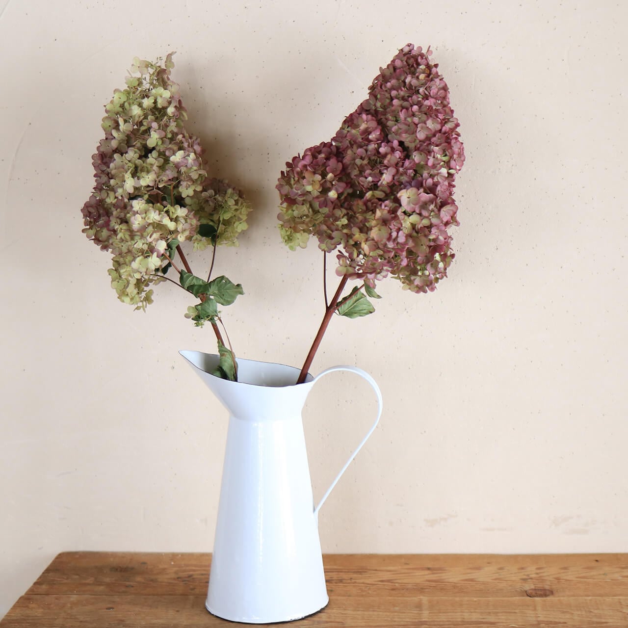 北海道産ドライフラワー 紫陽花 ミナヅキ ノリウツギ ピラミッド 枝