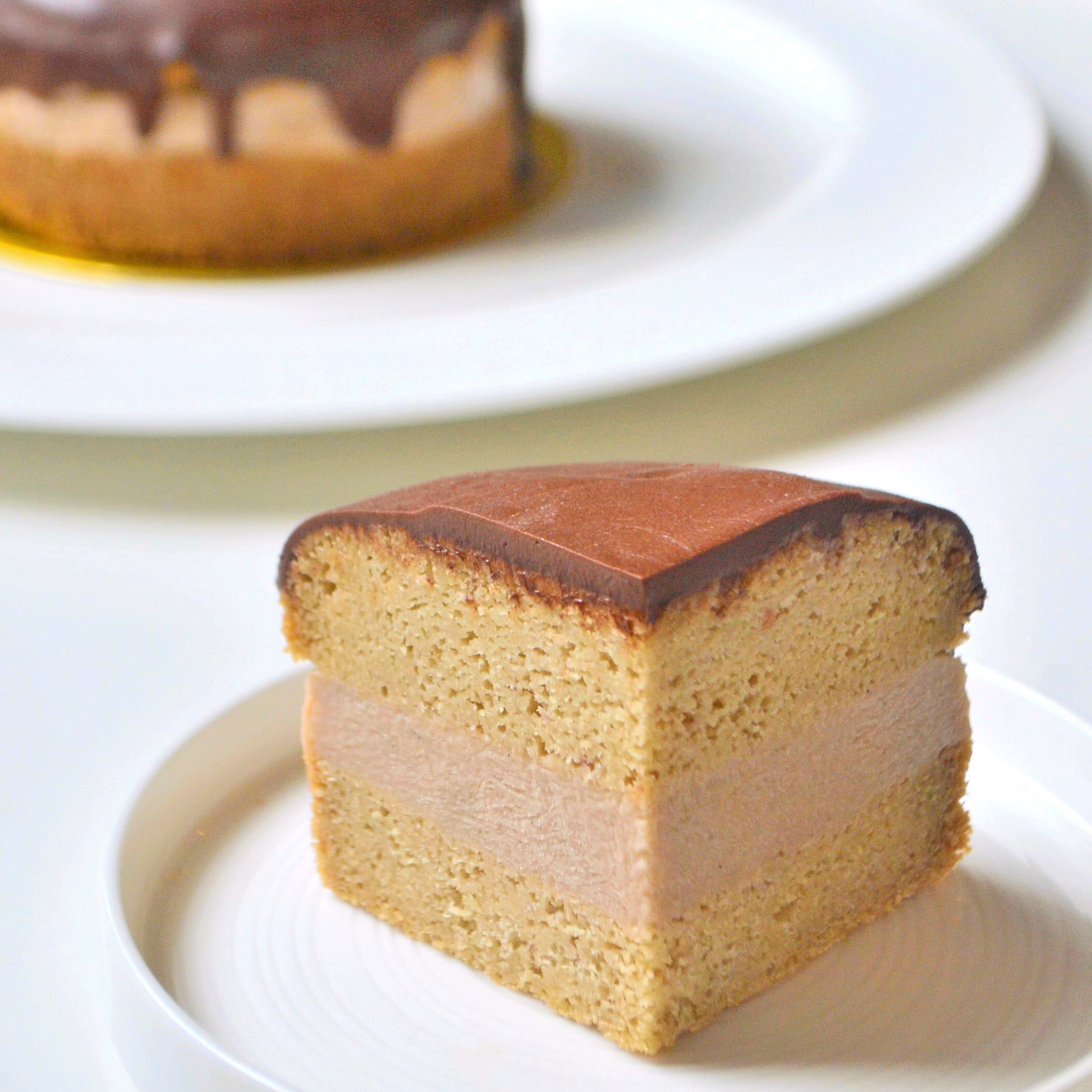 カット 栗のボストンクリームケーキ Coconut Dream