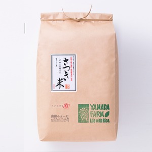 特別栽培米さつき米コシヒカリ　10kg