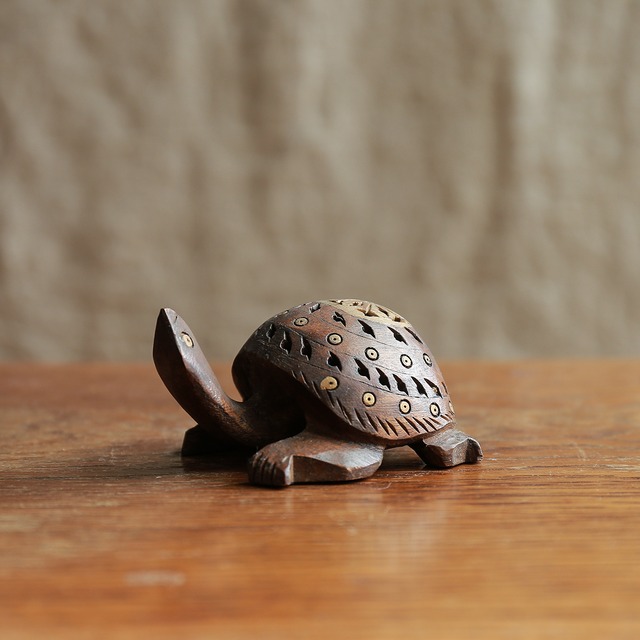 甲羅の模様が美しい、上を見上げるカメ