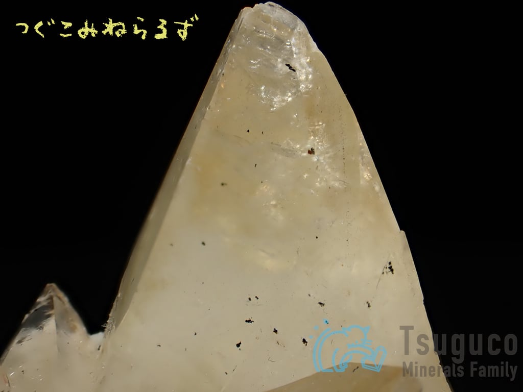 カルサイト 方解石 Calcite 産地不明 TM-0033