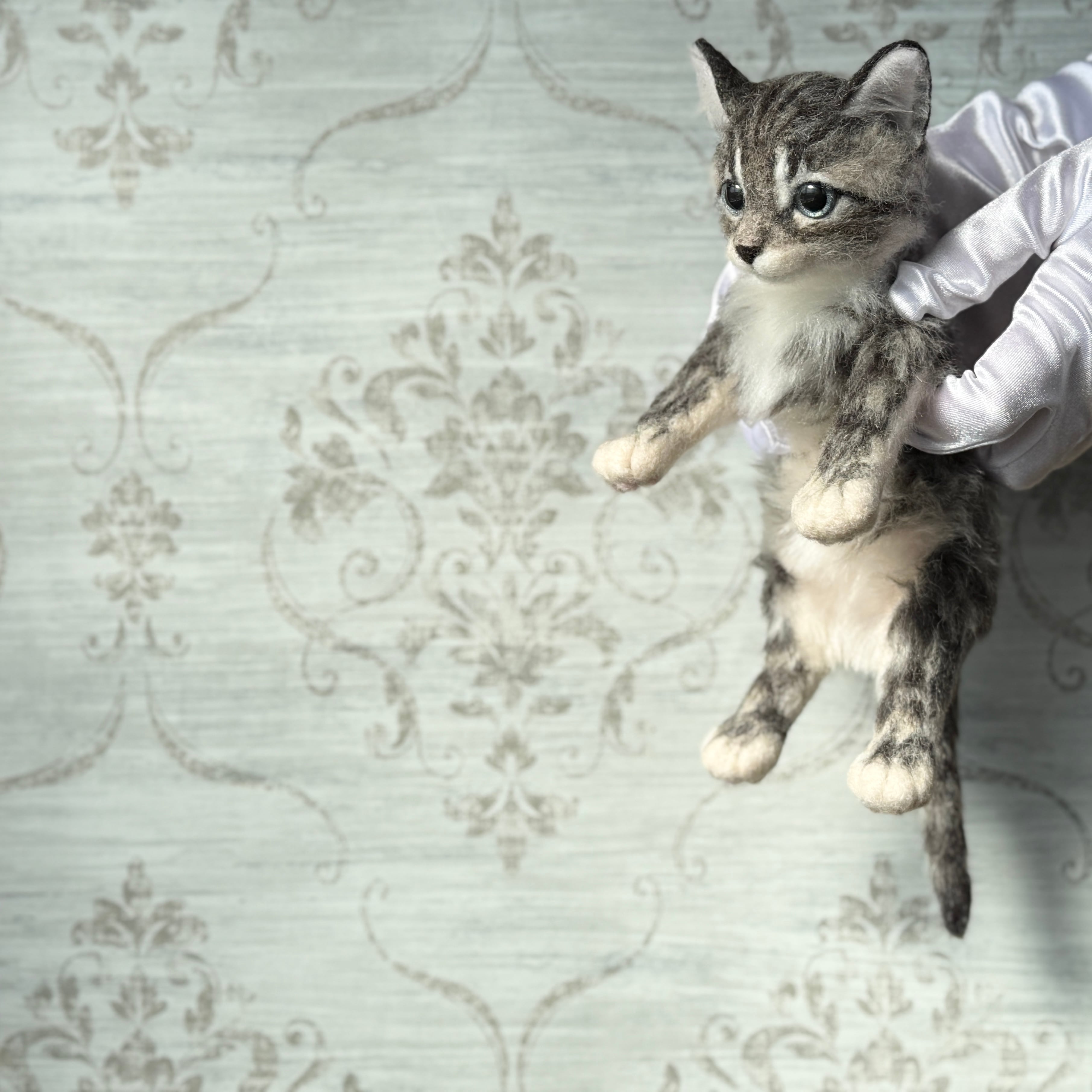 サバトラの仔ネコ 26F2SF 《にゃぴーし2026 猫の日キャンペーン商品