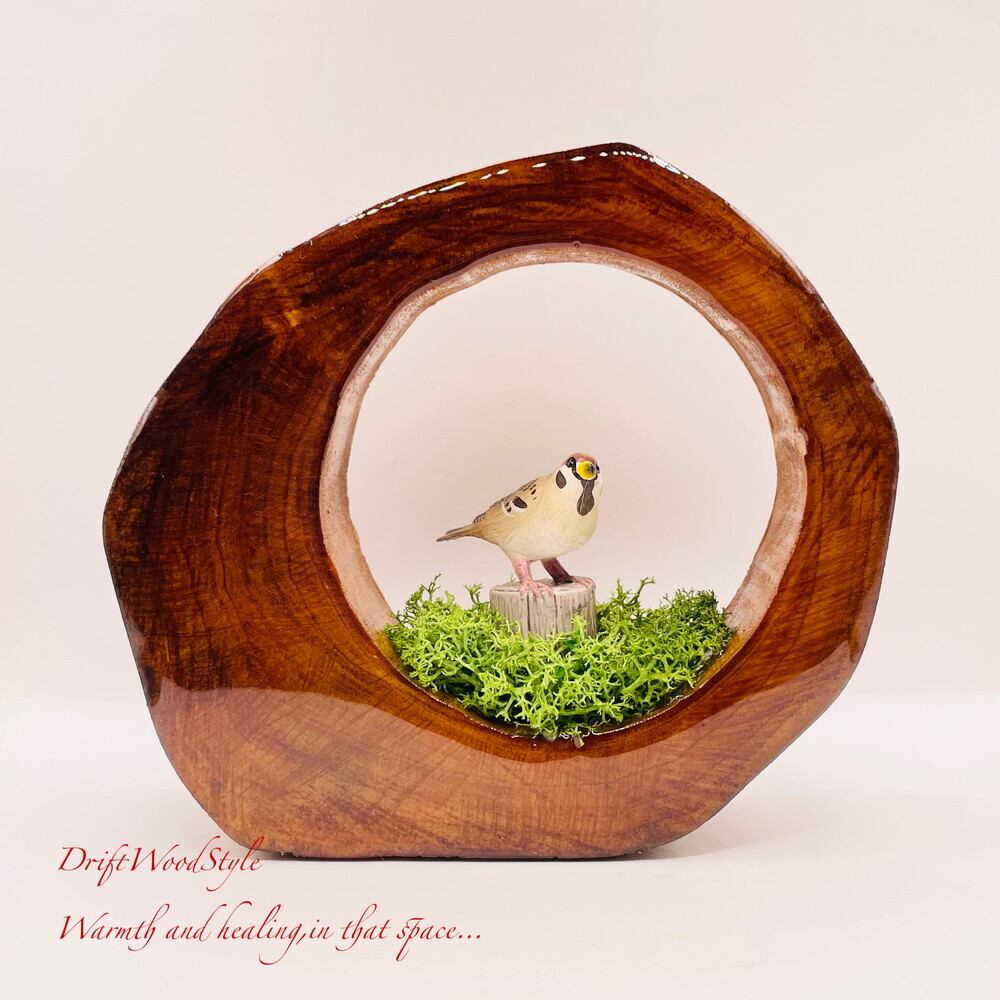 流木インテリア専門 DriftWoodStyle