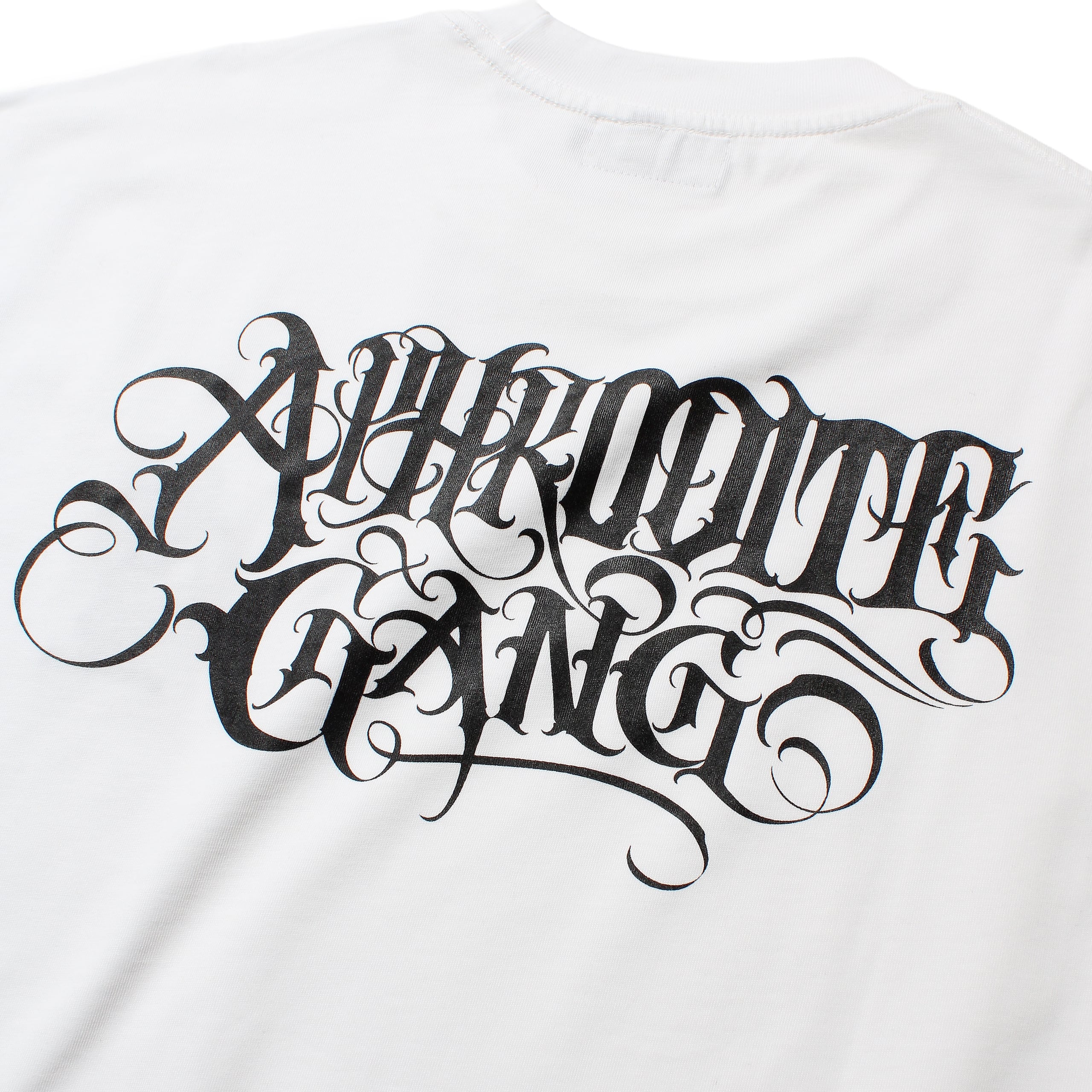 GRAPE BRAIN × BUDSPOOL S/S TEE (TYPE-2) | APHRODITEGANG HOLDINGS