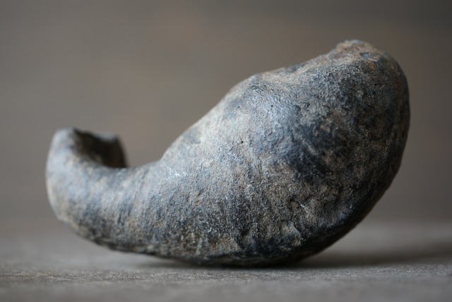 古代クジラ耳骨　Whale Otolith　1054