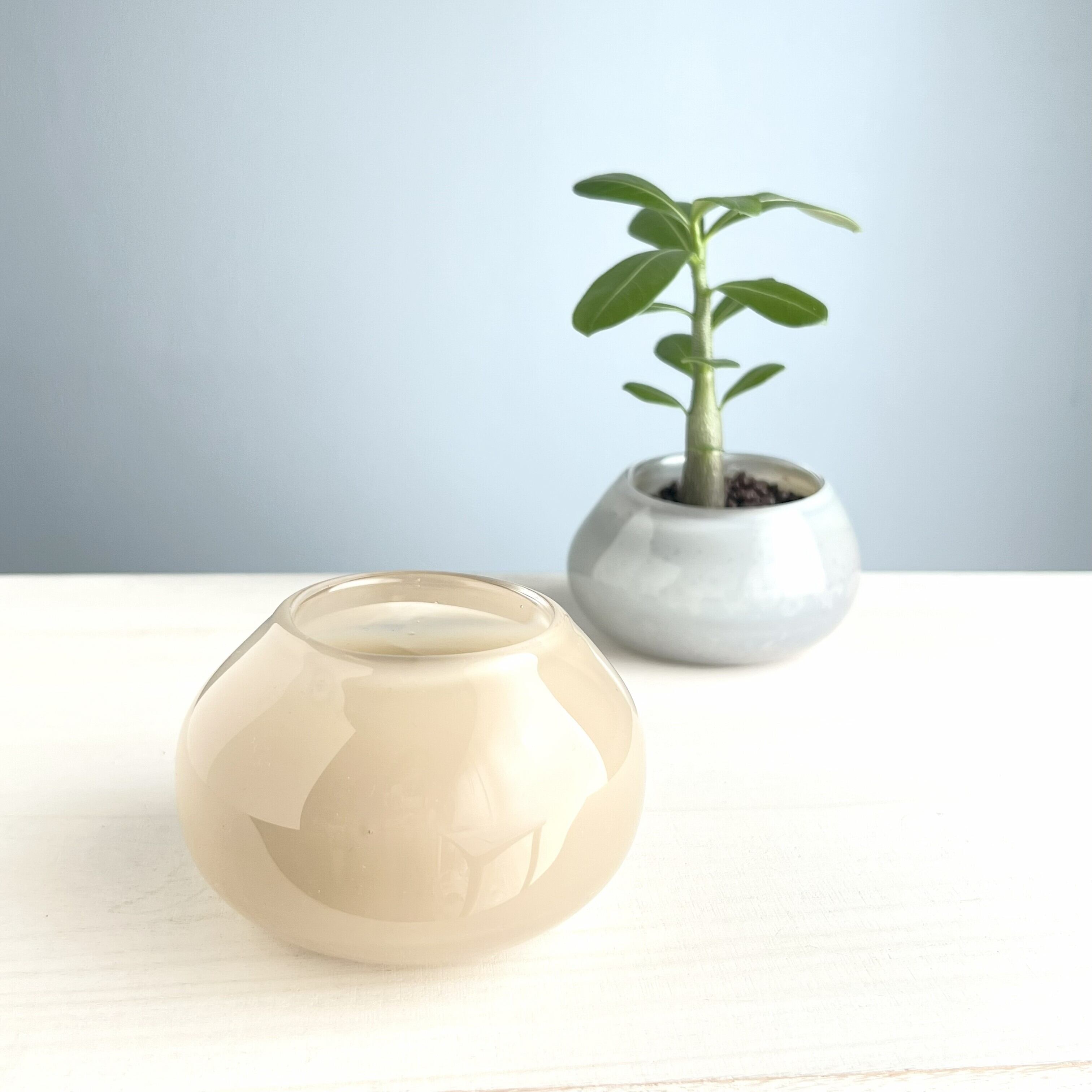 【yuragi】No.30 vase mini botanical pot ミニ観葉植物 小鉢(ベージュ)