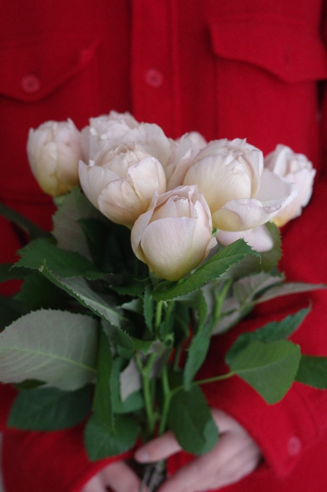 Seasonal Flower Box – Valentine’s Edition