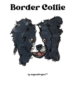 Border Collie(ボーダーコリー)