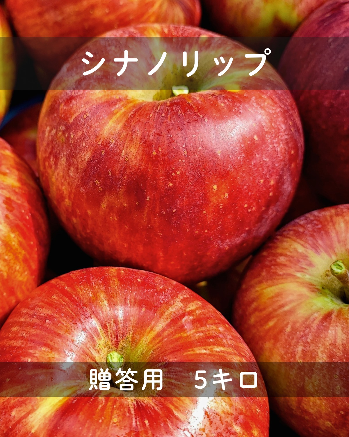 夏りんご 贈答用シナノリップ】5キロ | 於利屋 荒井農園