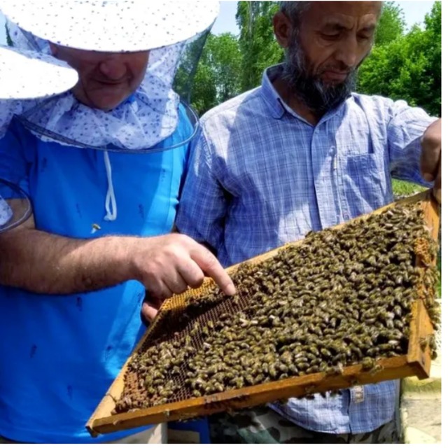 送料無料 6本セット【完全非加熱生はちみつ】キルギスの白いはちみつ 250g（活性酵素、無添加、無農薬）新ラベルになりました