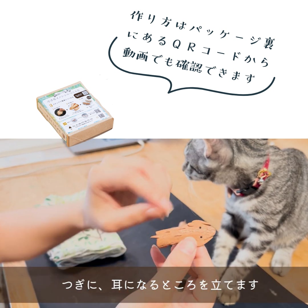 里山のちいさな自由研究 ― イノシシの革からつくるミニイノシシ―