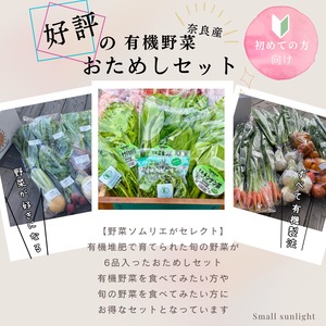 【奈良県産】好評の有機野菜＆旬の野菜おためしセット