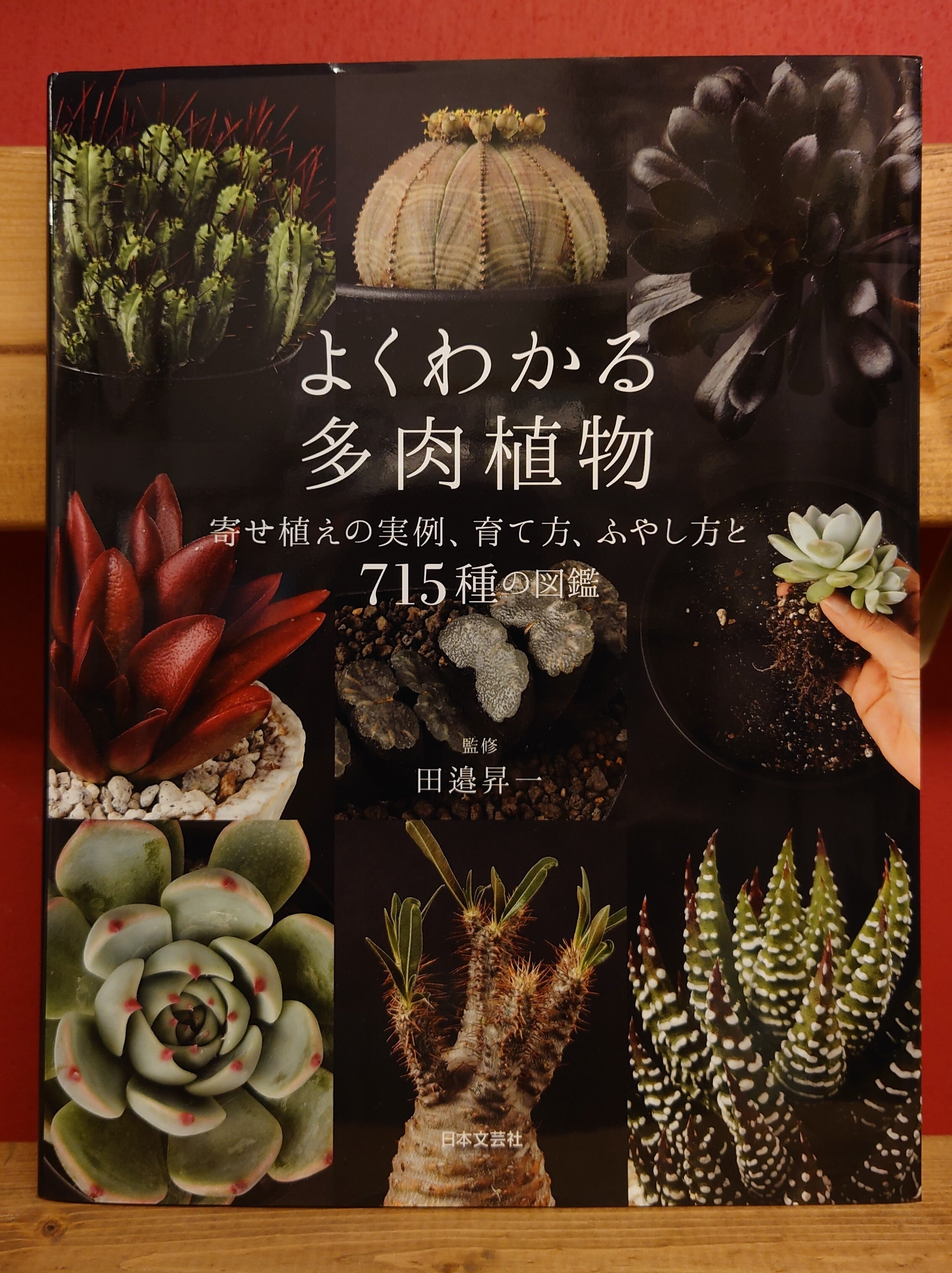 よくわかる多肉植物 寄せ植えの実例、育て方、ふやし方と715種の図鑑