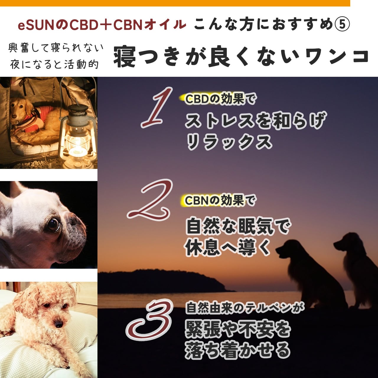 eSUN 犬用 CBD+CBNオイル 10ml | eSUN Online Shop