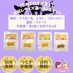 【初めての方限定！おためしサイズ2点セット】★生後6か月からOK★　犬のおやつ　犬用レトルトフード　国産無添加　米糀入り　鶏肉ミートボール(さつまいも/トマト/ブロッコリー)　鹿肉ミートボール(プレーン)　2粒×お好きな2点　犬のおやつ屋さんShinShin