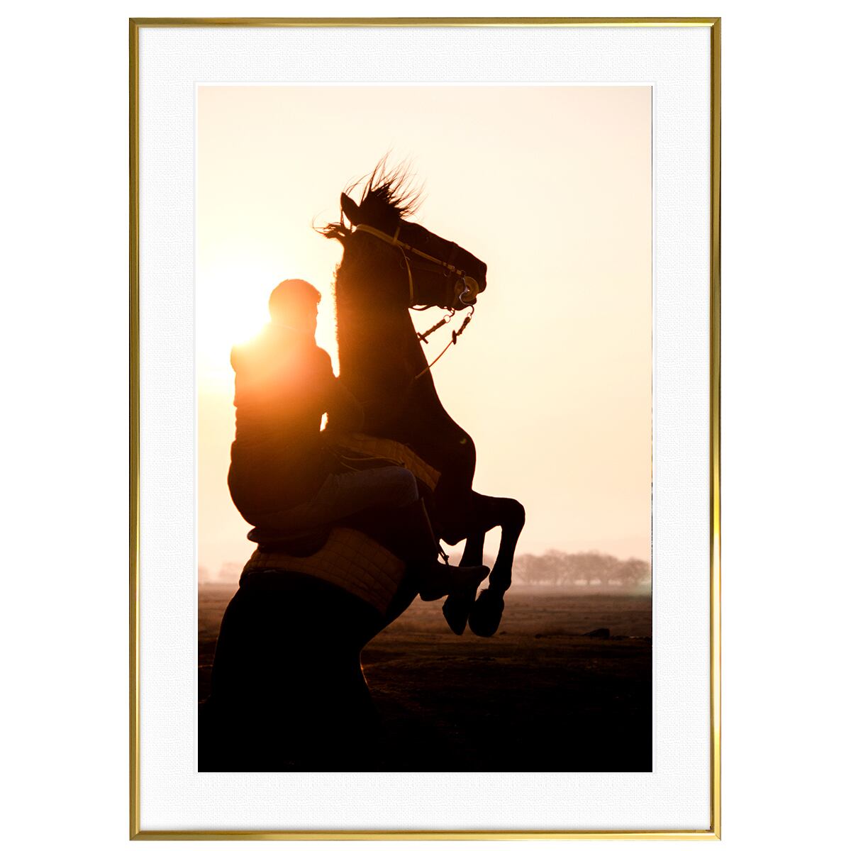 夕日写真 前足を高く上げる馬 インテリアアートポスター額装 AS1673