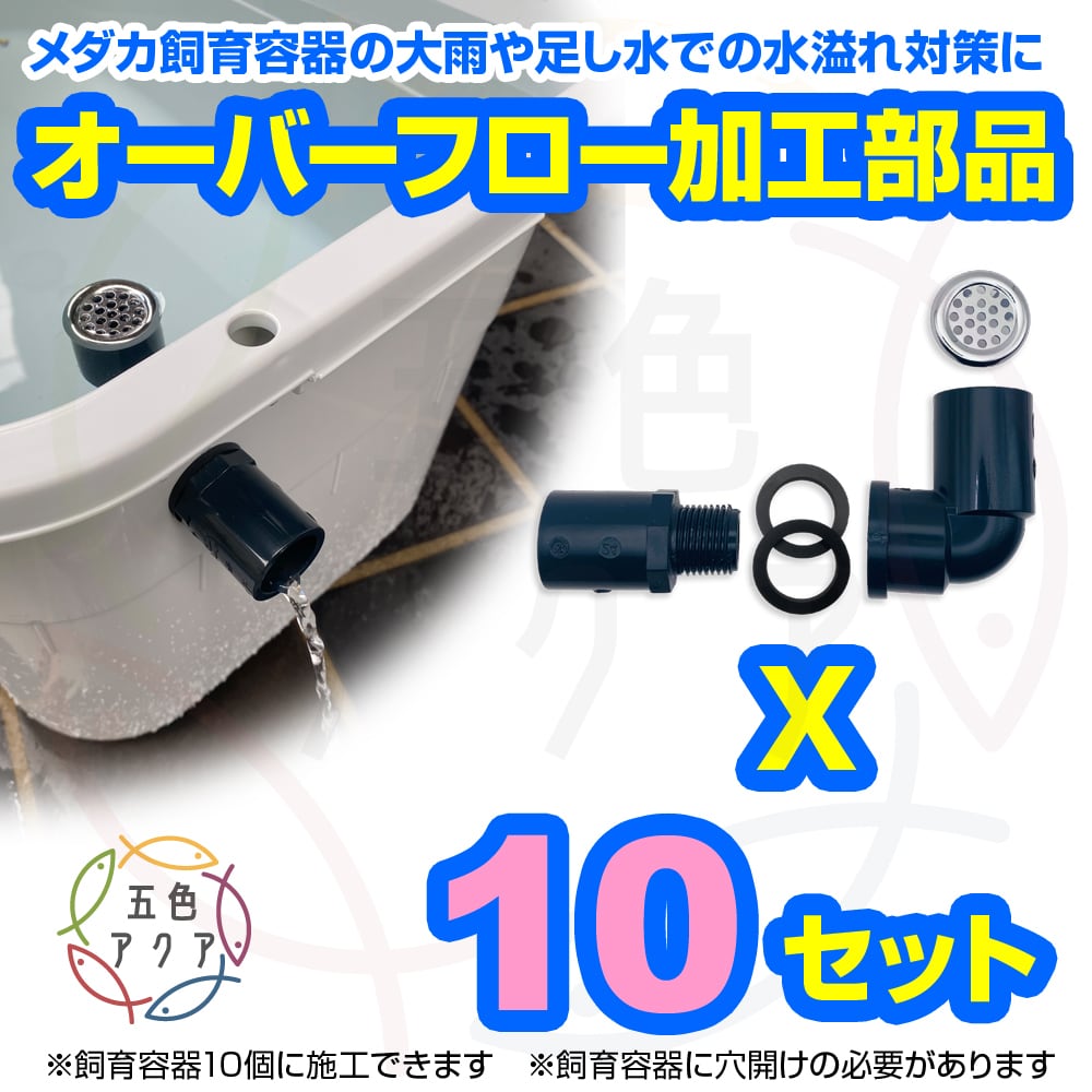 五色アクア BASE店