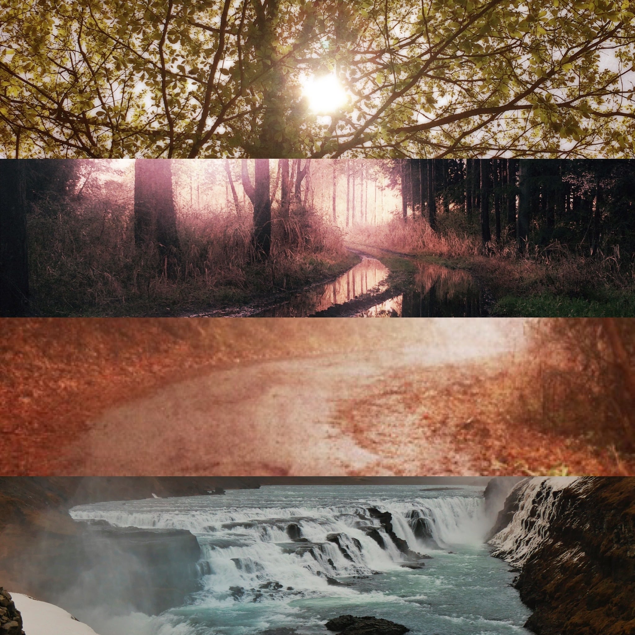 受注生産 ANNEKIKIアート作品「Forest Astronaut」月の写真集 | Nikaism