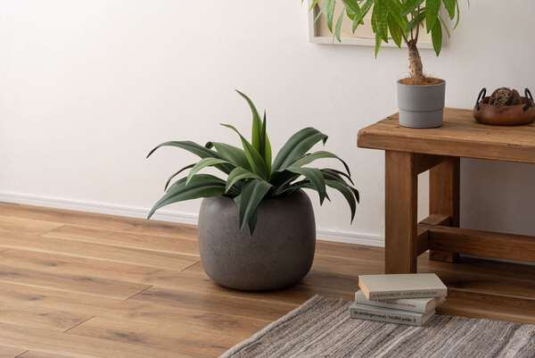 グリーンベース 幅33.5×奥行33.5×高さ26.5cm 日用品 完成品 組立不要 グレー 植木鉢