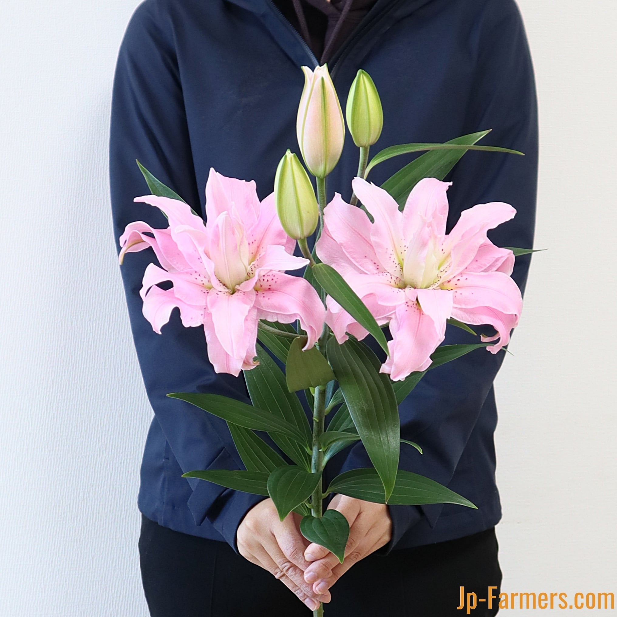 愛されピンクの八重咲きユリ ディアンサ 5本 | 新鮮お花問屋 Jp
