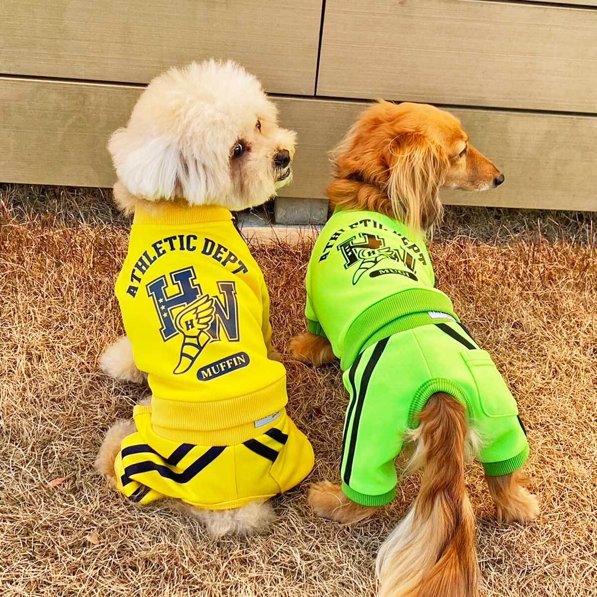 ドッグウェア | HERE COMES THE WOOF!