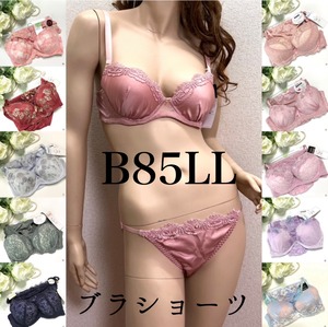 ＼Bカップ特集☆／【B85LLブラ＆ショーツ】アンダー85cm LLショーツ 大きいサイズ 下着 フリージア