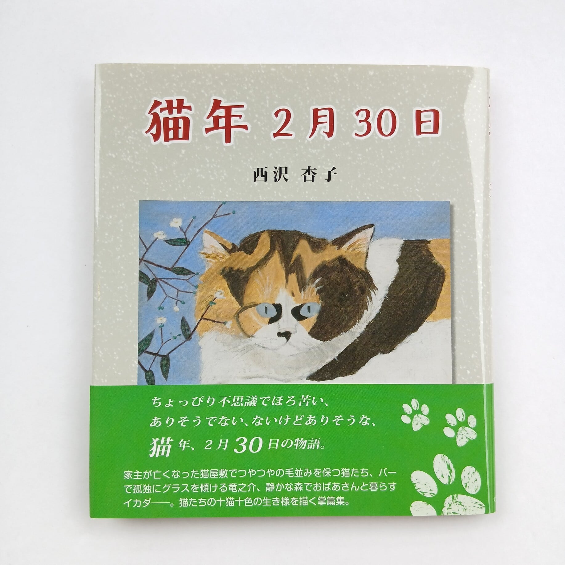 猫年2月30日 | ねこのみち