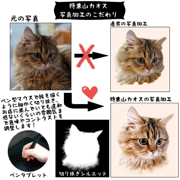 うちの子ハンドタオル ペット写真/犬/猫/うちの子グッズ/猫グッズ/犬