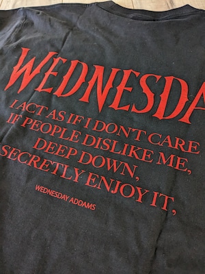 【Tシャツ  ウェンズデー(Wednesday フェイス)】〚アメリカン雑貨 アメトイ〛